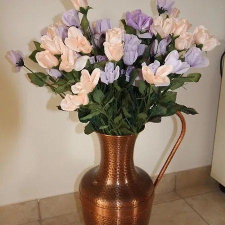 아파트 Barisic 비르